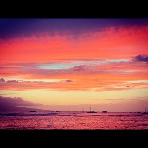 Meet your Posher, Jerry